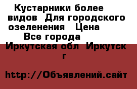 Кустарники более 100 видов. Для городского озеленения › Цена ­ 70 - Все города  »    . Иркутская обл.,Иркутск г.